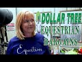 Budget-Friendly Equestrian Must-Haves from Dollar Tree- Watch to the End!!!