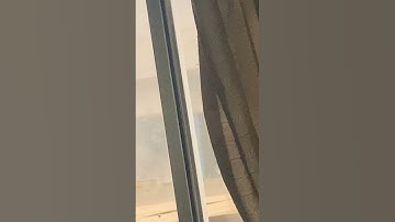 UOG Combine Bus | University ki Bus 🤣🇵🇰