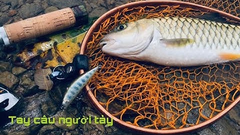 BỘ MỒI GIẢ CÂU CÁ SUỐI - CÂU CÁ CHÀY ĐẤT | RAY TUNE - STREAM MINNOW LURE FISHING