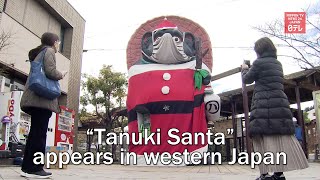 “Tanuki Santa” makes an appearance in western Japan