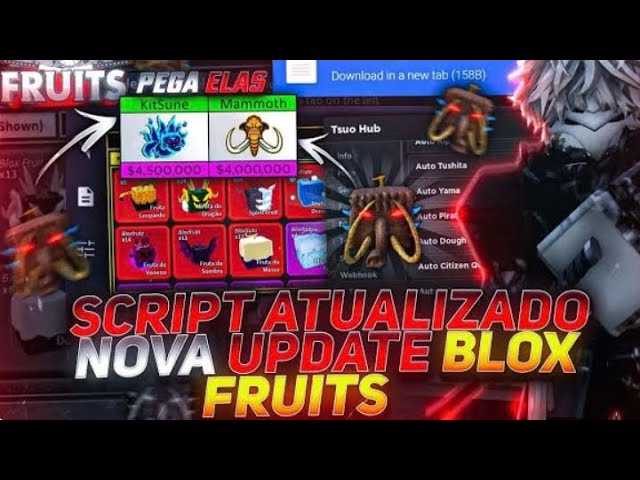 ✓ executor de script roblox pc COMO COLOCAR SCRIPT ROBLOX / BLOX FRUITS E A  CHAVE DE ATIVAÇÃO 