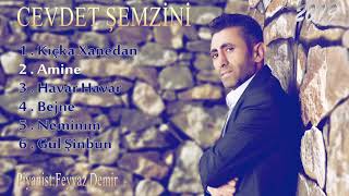 Cevdet Şemzini - Amine  2019