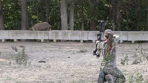 Shooting Hogs In a Cow Feeder! 4 Hogs Down! Bowhunting For Hogs in Tennessee