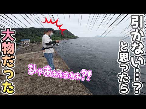 妻「なんか掛かっとる!あまり引かない…ええ!?嘘!ヤバ!!」