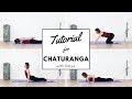 How To Do Chaturanga To Upward Dog - Beginners