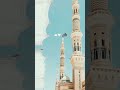 قلب بالحق تعلق