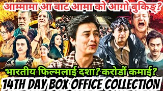 आम्मामा आ बाट आमा को आगो बुकिङ्? भारतीय फिल्मलाई दशा? करोडौं कमाई? Aa Baata Aama 14th Day Collection