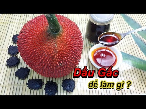 Dầu Gấc - Cách làm dầu gấc rất đơn giản, chia sẽ cách làm và dùng.