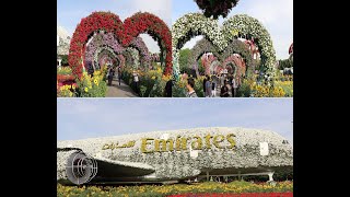 Dubai miracle garden || the a flower located in district of land