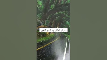 يوم تبيض وجوه وتسود وجوه - تلاوة خاشعة