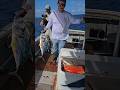 HANDLINE ONLY! REED THE FISHMONGER HOOKED A MONSTER! 💪 #fishingdaily #BVI #supportlocal #fisherman