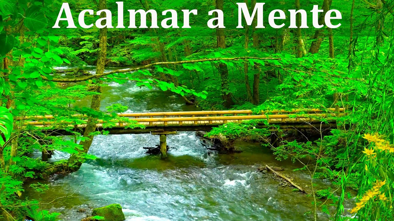 Músicas para relaxar e acalmar a mente!