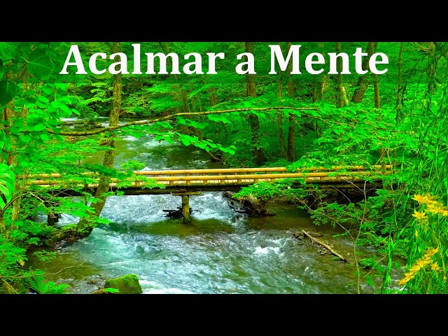 Música para Meditar e Relaxar com Sons de Riacho e Natureza - Acalmar os Pensamentos class=