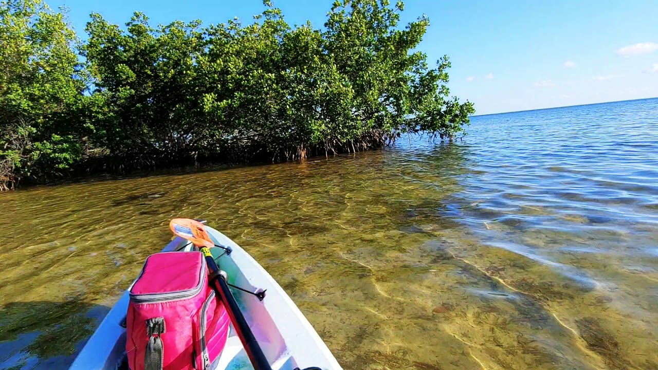Salty Quicky #230 | Paddling in the Florida Keys | Sorry about the wind