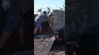 Properly Disposing of Yard Debris 🌴♻️ | No Illegal Dumping!