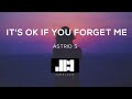 Astrid S - It&#39;s Ok If You Forget Me (Lyrics) ♫