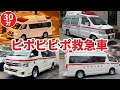 ピポピポ救急車(30分)