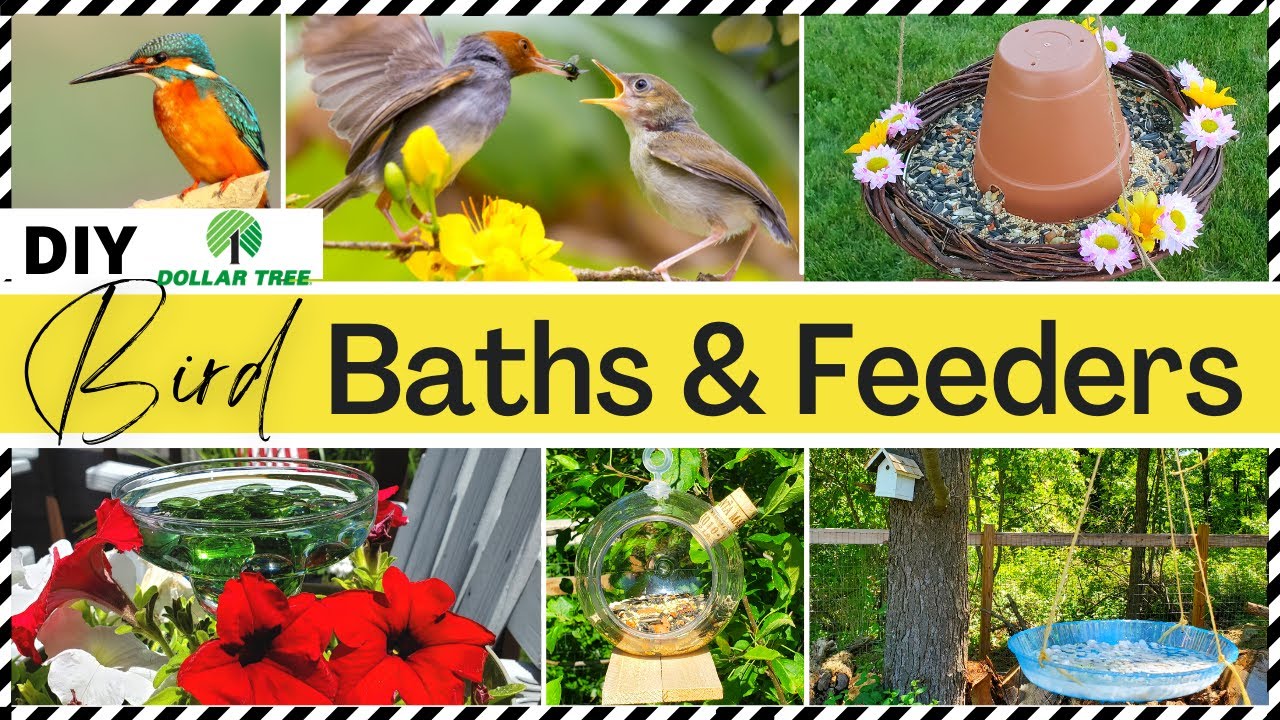 ? DIY OUTDOOR BIRD BATHS & FEEDERS | DOLLAR TREE DIY Easy Craft Ideas on a budget for BIRD LOVERS!