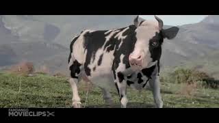 Eroman And Anda Tgir King Bdsha