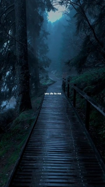 Sailor song - Gigi Perez | lyrics| aesthetic | WhatsApp status | edit | #sailorsong #gigiperez