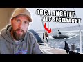GEFILMT: ORCAS greifen zusammen ein BOOT an! - Wieso machen die das? | Robert Marc Lehmann