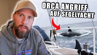 GEFILMT: ORCAS greifen zusammen ein BOOT an! - Wieso machen die das? | Robert Marc Lehmann