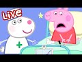 🔴 PEPPA PIG FULL EPISODES | BRAND NEW PEPPA PIG TALES EPISODES | LIVE 24/7 🐷 Playtime With Peppa
