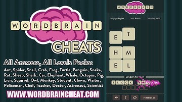 WordBrain Rat 19 Cheats | WordBrain Cheats | Rat 19 Answer