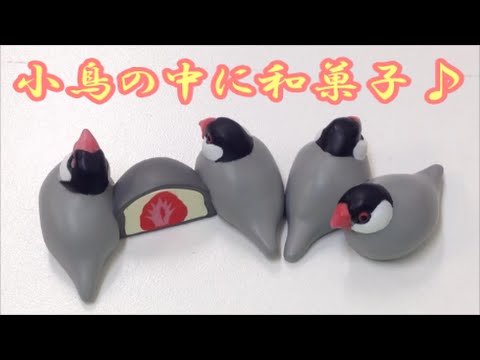 小鳥だいすき とりまんじゅう リーメント Japanese Capsule Toy ガチャポン ガシャポン ガチャ 遊you ガチャガチャ 紹介動画 Youtube 小鳥だいすき とりまんじゅう リーメント Japanese Capsule Toy ガチャポン ガシャポン ガチャ 遊you ガチャガチャ 紹介動画 Youtube