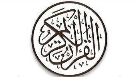 تلاوة خاشعة من سورة محمد  للقارئ أحمد النفيس بصوت يريح الأعصاب 