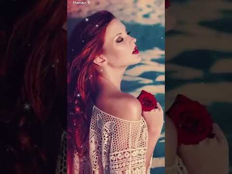 وقولتلي راجع بكرة انا راجع