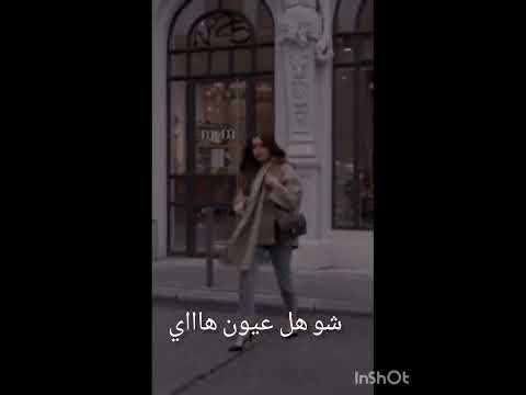 تقبر لا قلبي الشامي