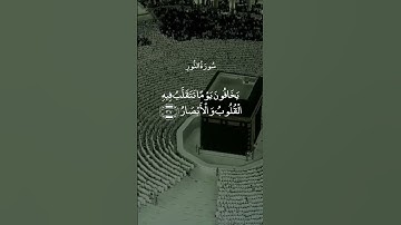 فِي بُيُوتٍ أَذِنَ اللَّهُ أَنْ تُرْفَعَ وَيُذْكَرَ فِيهَا اسْمُهُ || سورة النور || علي جابر