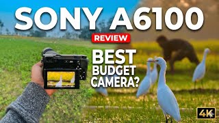 Sony A6700 Vs Sony A6100 Wildlife Photography In Cold Conditions Which Should You Pick?