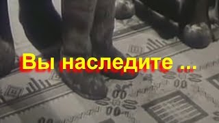 Вы наследите ...