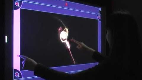 FI3D: Direct-Touch Interaction for the Exploration of 3D Scientific Visualization Spaces
