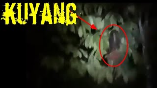 HANTU KEPALA KUYANG ASLI