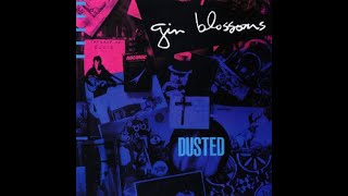 Gin Blossoms - Dusted (2021 Cassette Remaster)