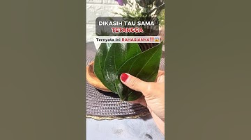 Manfaat lain dari air rebusan daun salam yang jarang orang Tau #tips #tipsandtricks #tipssehat
