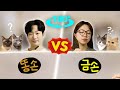 [180°VR] 우리집 고양이 그리기 대결💥 똥손 남집사와 금손 여집사의 그림 실력 공개