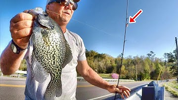 Easy Way Anybody Can Catch Crappie From The Bank