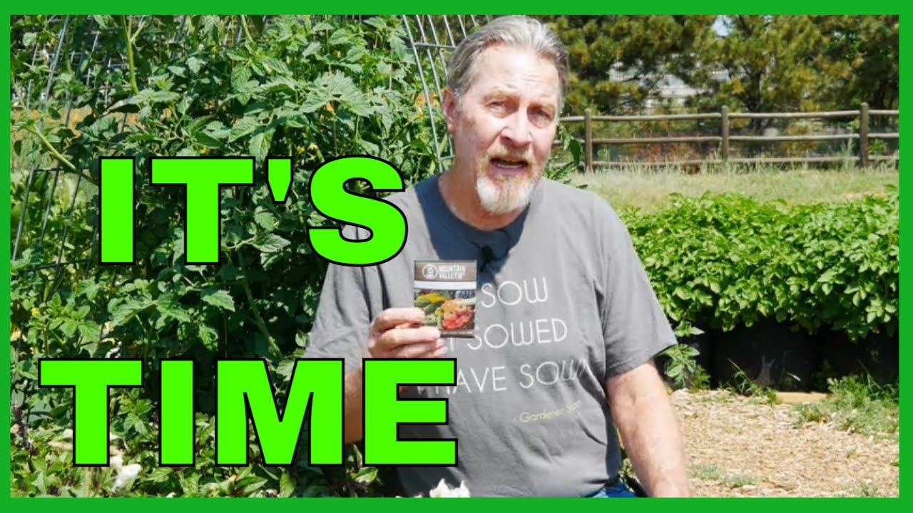 Crops You Can Still Plant In July YouTube