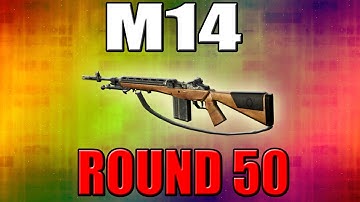 M14 on Round 50 - Call of Duty Zombies