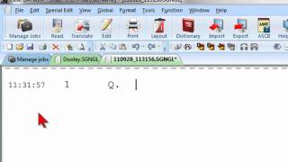 Famous CATalyst Training: Quick Tran Net Worth