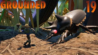 Lets Play Grounded Ep.19 Its Hammer Time