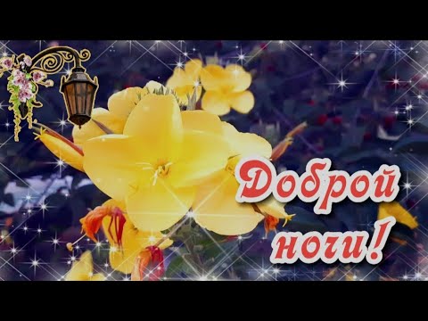 Доброй ночи! Прекрасных снов! Музыка Сергея Чекалина. Энотера распускается ночью.