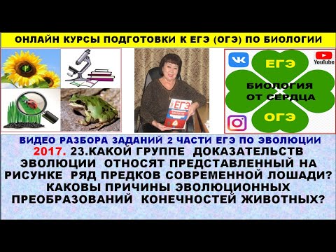 Видео: Каковы три основные причины эволюционных изменений?