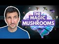 How Psychedelic Mushrooms Treat Depression