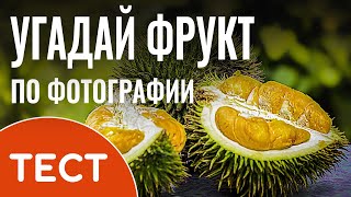 Развлекательный тест: Угадай фрукты по фотографии | Экзотические фрукты