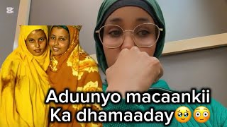 Wllkeed ayaa kufsaday labo gabdhood ay dhashay ilmaha abtigood acuudu🥹@nasriinofficial 